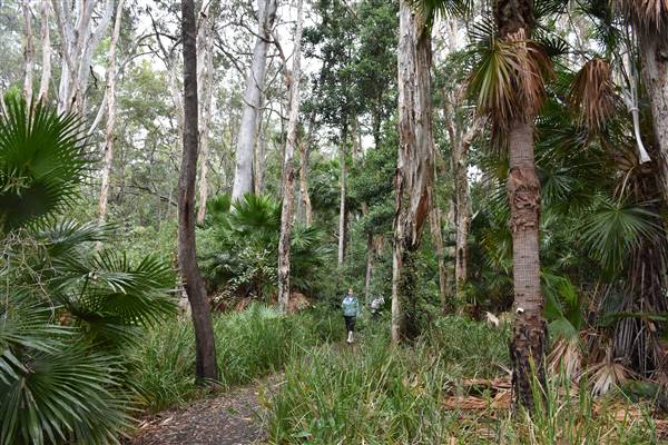 Fig Tree Point (Noosa Everglades) (13/07/2017 - Credits: Kathryn Metcalfe)