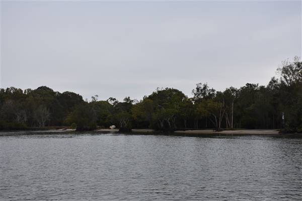 Noosa Everglades - Makepeace Island (13/07/2017 - Credits: Kathryn Metcalfe)