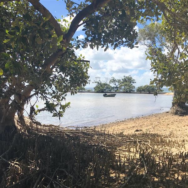 Coochiemudlo Island (9/07/2018 - Credits: unknown)