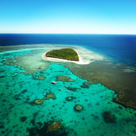 Great Barrier Reef - Lady Musgrave Island - Wallaginji (5/10/2018 - Credits: unknown)