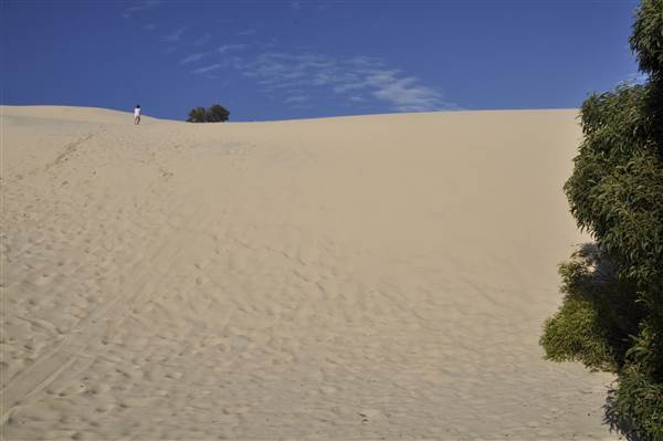 Mulgumpin (Moreton Island) - Big Sand Hills (11/04/2015 - Credits: Angus Ledgerwood)