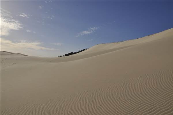 Mulgumpin (Moreton Island) - Big Sand Hills (11/04/2015 - Credits: Angus Ledgerwood)