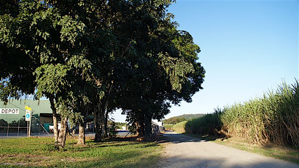 Mossman - Township (4/11/2019 - Credits: Karen Jones)