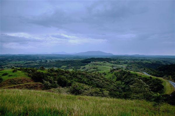 Milla Milla - Region (1/11/2019 - Credits: Tourism Tropical North Queensland)