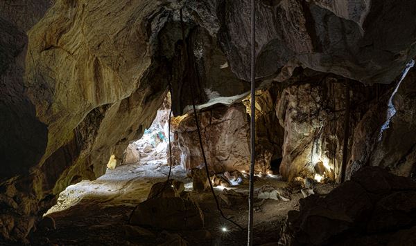 Capricorn Caves (1/07/2020 - Credits: Capricorn Caves)