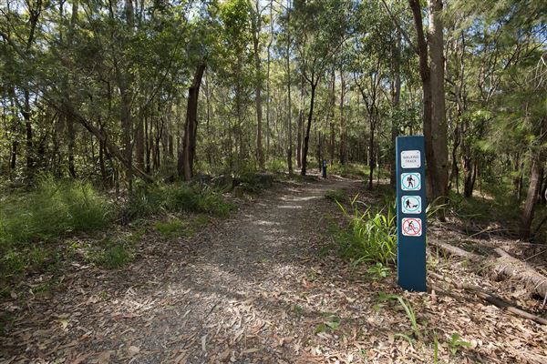 Toohey Forest Park (incl. Mount Gravatt Outlook Reserve) - Overview - Image Sourced - Do Not Make Public (10/12/2020)