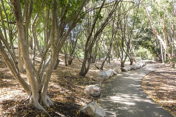 North Ipswich Wetlands Park (5/01/2021 - Credits: Ipswich City Council)