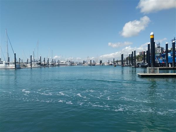 Mackay Harbour (27/10/2021 - Credits: Kathryn Metcalfe)