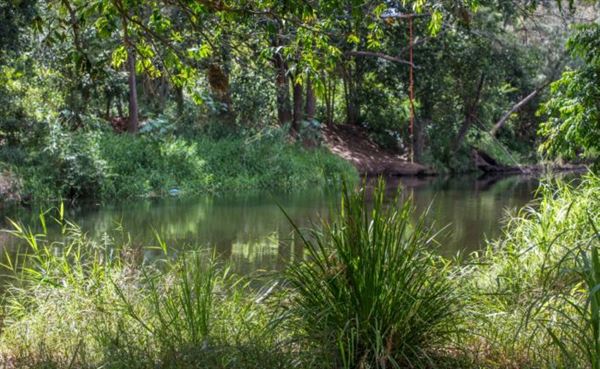 Bunya River Crossing (Albany Creek) (20/07/2022 - Credits: www.visitmoretonbayregion.com.au)