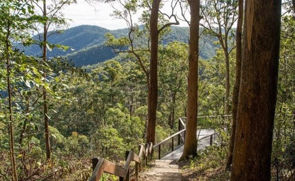 Mt Glorious (25/07/2022 - Credits: www.visitmoretonbayregion.com.au)