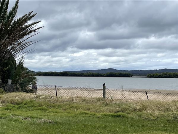 Cabbage Tree Point (6/10/2022 - Credits: Dugald McMasters)