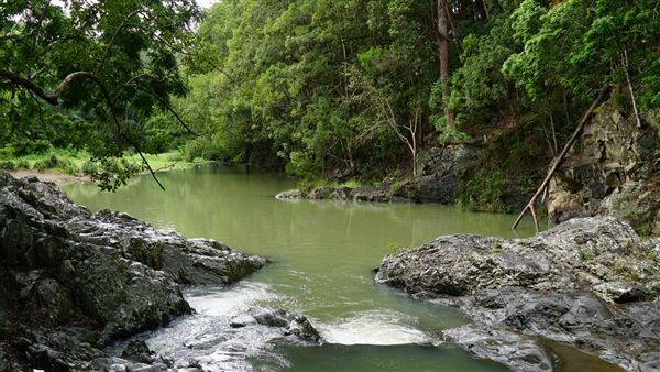 Currumbin Rock Pools (8/07/2019)