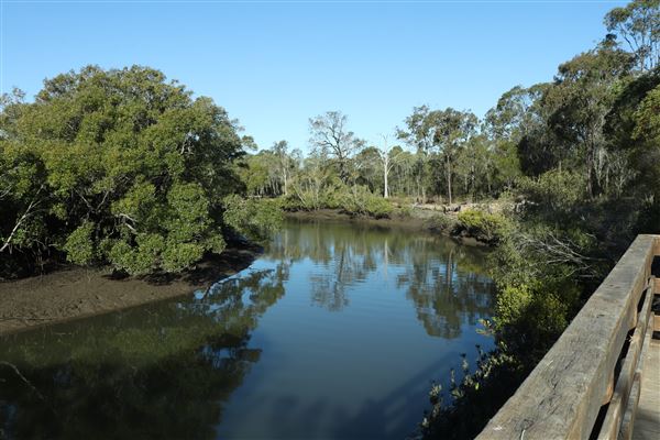 Epapah Creek - Karl's Pier track (8/05/2023 - Credits: Screen Queensland)