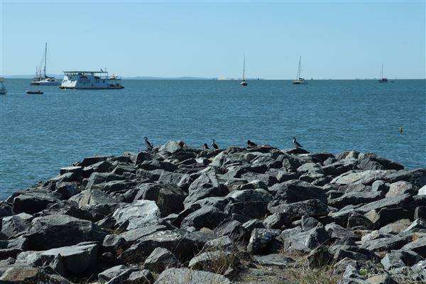 Raby Bay - Foreshore Park (8/05/2023 - Credits: Screen Queensland)