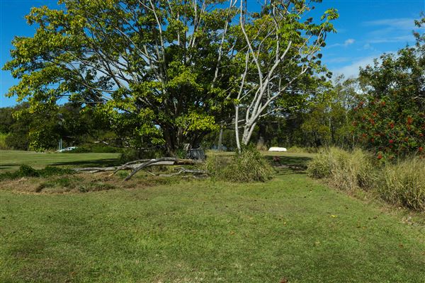 Curlew Park - Cabbage Tree Creek (11/05/2023 - Credits: Screen Queensland)