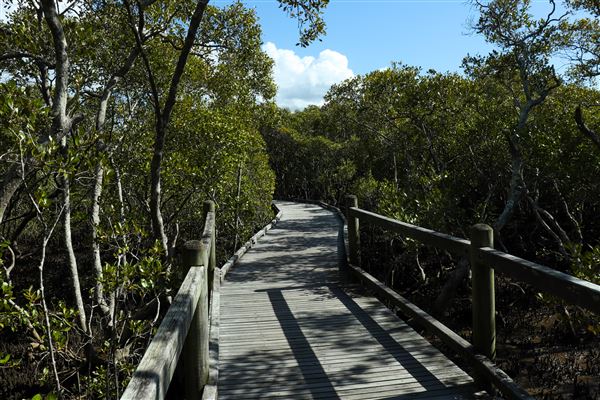 Nudgee Beach Wetlands Reserve (11/05/2023 - Credits: Screen Queensland)