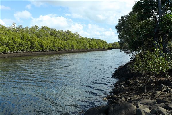 Nudgee Beach Wetlands Reserve (11/05/2023 - Credits: Screen Queensland)