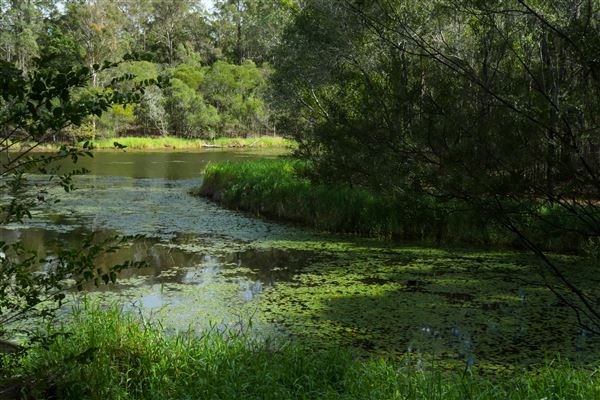 Enoggera Reservoir (12/05/2023 - Credits: Screen Queensland)