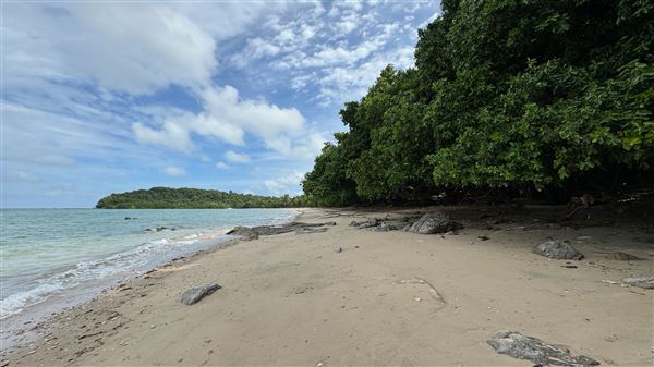 Garners Beach (26/11/2023 - Credits: Karen Jones / Tom Hoffie)